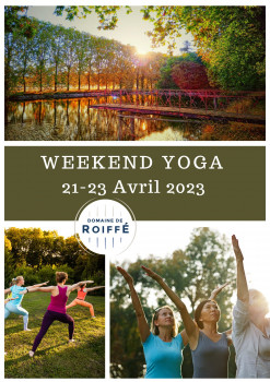 WE Yoga at the Domaine de Roiffé!